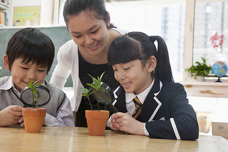 学生和教师通过放大镜检查陶植植物;利用放大玻璃图片