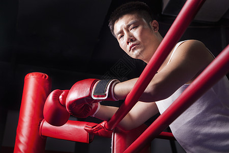 男性拳击手的肖像 在环边 低角度视野下背景图片