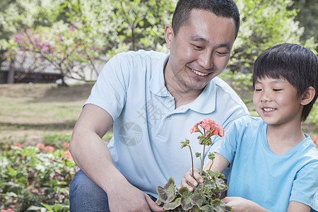 父亲和儿子种花休闲活动公园树木两个人团结男孩们乐趣城市花园图片