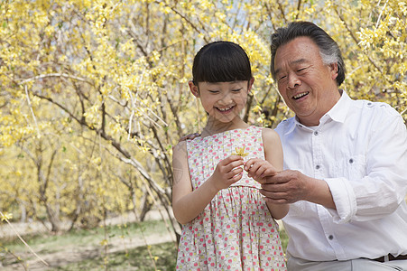 微笑的女孩和她的祖父 在春天在公园看一朵鲜花童年刘海幸福衬衫休闲孙女两个人女孩们服装家庭图片