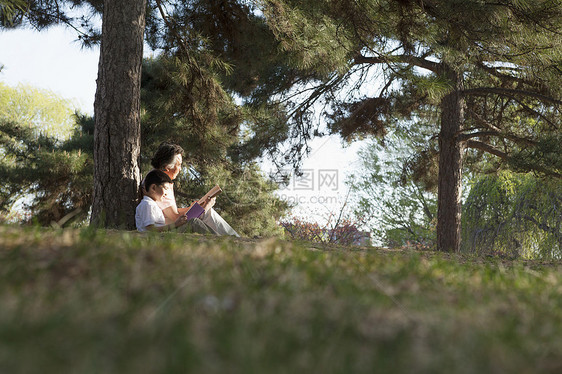 祖父和孙子在树下放松 在春天的公园里看书 北京 笑声摄影两个人幸福家庭男孩们服装团结休闲倾斜阅读图片