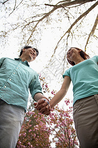 快乐笑笑的年轻夫妇 在春天在公园握手 低角度观图片