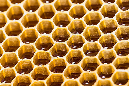 蜂蜜和蜂蜜加蜂蜜的近缝纹理金子蜂窝食物领导养蜂人六边形花粉蜜蜂细胞梳理图片