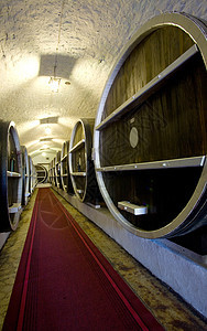 葡萄酒桶团体食物圆柱房间酒厂酒精地窖木桶橡木酿酒图片