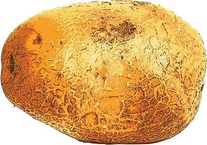 马铃薯淀粉痕迹团体棕色岩石白色块茎农业糖类真实感图片