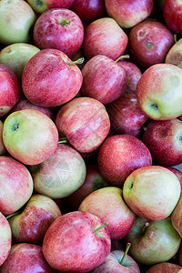 苹果农业红色饮食营养食物图片
