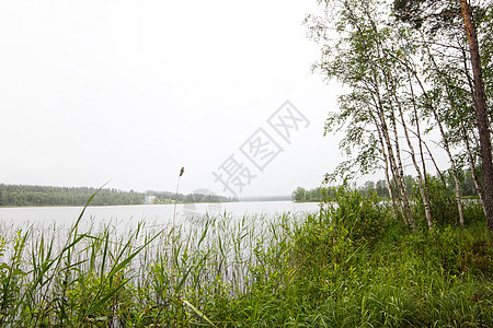 北部带湖泊的风貌灰色公园地平线丘陵林地天空国家松树针叶树多云图片