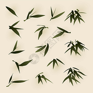 东方风格绘画 竹叶复古生长繁体画像文化书法插图复兴叶子毛笔图片