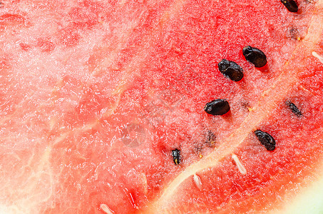 水瓜切片健康红色热带白色绿色水果甜点营养西瓜植物图片
