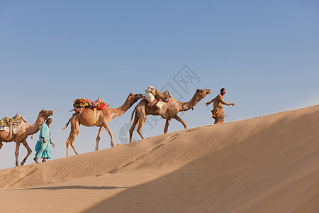 沙漠中配有贝杜因和骆驼的车队游牧民族大篷车男人旅行天空地平线护航沙丘晴天哺乳动物图片