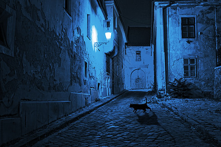 黑猫在晚上穿过荒无人烟的街道图片