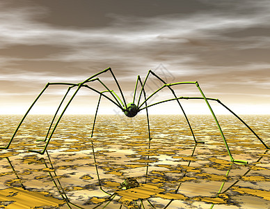 蜘蛛长腿小说科幻噩梦蛛网真实感昆虫渲染黄色电脑图片