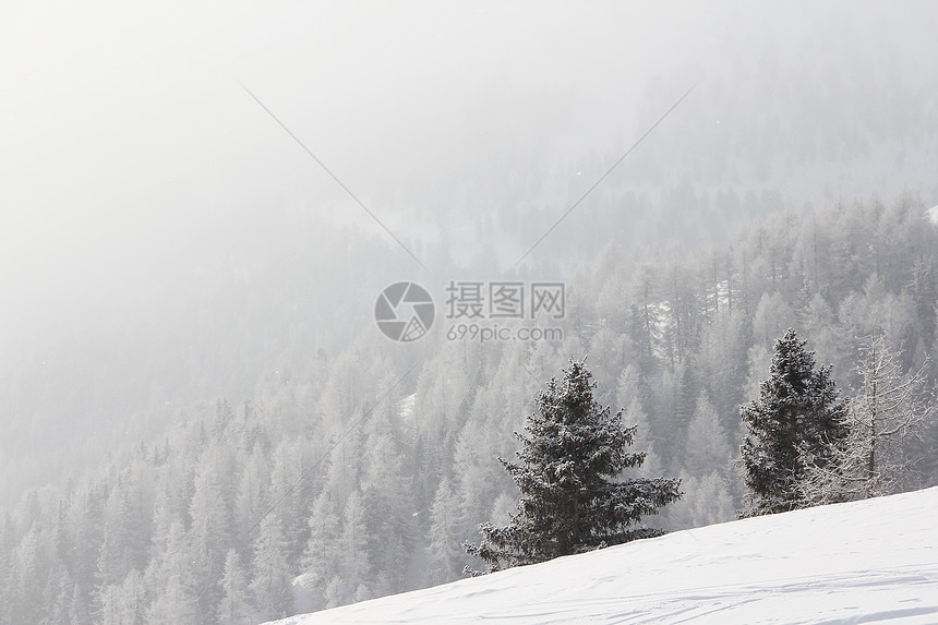 冬季山中美丽的林林天空降雪木头阳光高地童话公园环境气候天气图片