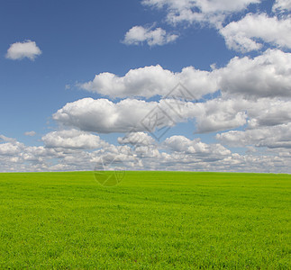 云层下绿草远景草原阳光晴天土地地平线草地环境农村场景图片