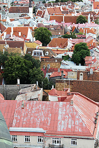 旧塔林屋顶历史景观砖块旅行首都旅游教会遗产地标城市图片