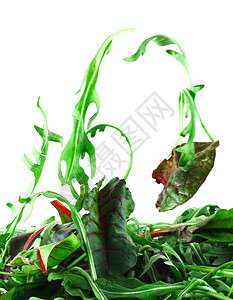 Rucola和Chard沙拉轻亮概念烹饪美食树叶飞行生物叶子亮度火箭午餐蔬菜图片