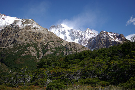 巴塔哥尼亚景观荒野冰川木头森林风景岩石登山顶峰图片