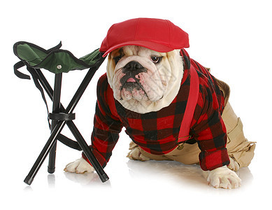 猎犬帽子犬类戏服友谊英语凳子猎人皱纹工作室朋友图片