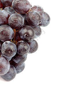 红葡萄庄稼水果曲线食物甜食色彩紫色素食水滴宏观图片