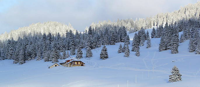 瑞士冬季的Jura山Jura山假期高地季节针叶气候场景降雪木头天气天空图片