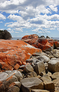 火焰湾 塔斯马尼亚 澳大利亚海湾岩石假期红色海洋旅游名胜海滩风景海岸图片