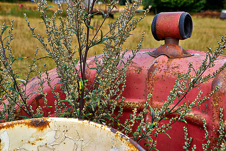 废弃的生锈旧拖拉机场地运输力量机器农场古董引擎车轮国家农业图片