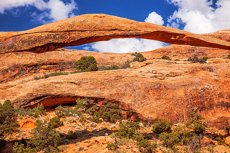 国家公园Moab Utah莫阿布乌塔悬崖土地地质学蓝色岩石环境峡谷公园石头花园图片