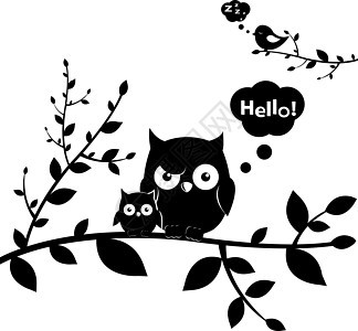 猫头叶子插图动物野生动物小鸡黑色绘画白色眼睛荒野图片