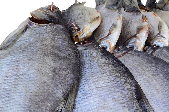白底的盐河和干河鱼类食物钓鱼爱好鲫鱼映射对象图片