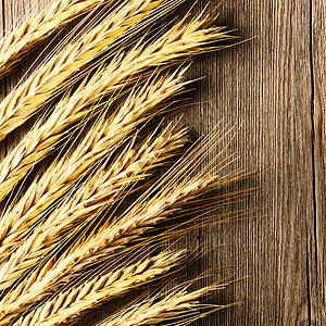 木本底的Rye 小麦烹饪黄色木头食物谷物棕色种子乡村农业桌子图片