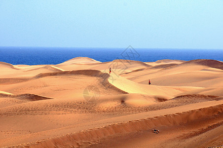 沙漠沙漠地平线旅游沙丘黄色全景场景金子土地橙子地形图片