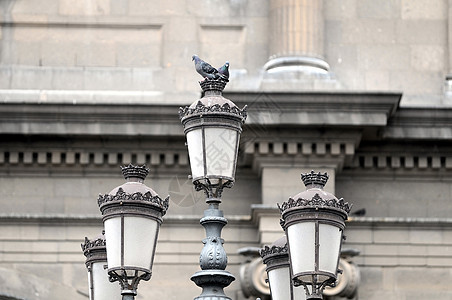 鸽子站在光线上黑色天空建筑学蓝色玻璃照明城市灯笼金属路灯图片
