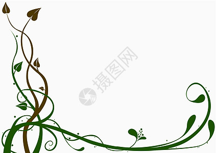 花花装饰风格卷曲漩涡剪贴区系创造力插图叶子装饰植物图片