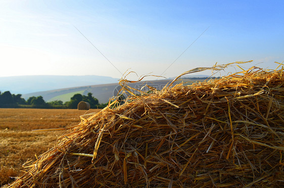 Hay bale 关门了图片