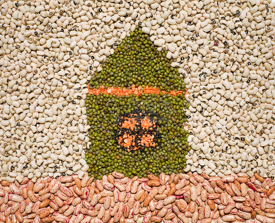 生态室内比喻碎粒烹饪框架种子财产食物大豆蔬菜投资项目图片