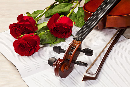 红玫瑰和小提琴床单古董周年音乐会细绳作品中提琴花束木头乐队图片