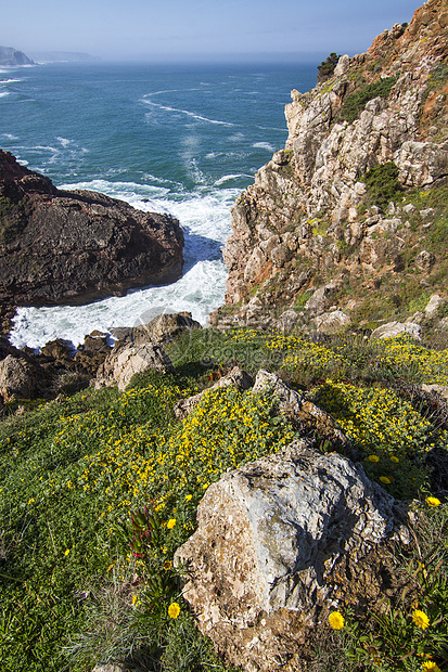 美丽的海岸藻园白色波浪悬崖海洋旅行植被雏菊蓝色晴天假期图片