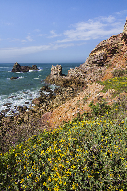 美丽的海岸藻园植被波浪蓝色假期白色旅游石头海岸线悬崖风景图片