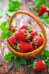 草莓果味叶子早餐水果养分美食浆果篮子甜点饮食图片