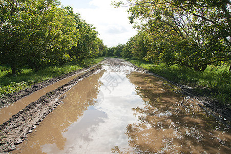 有大水坑的农村公路图片