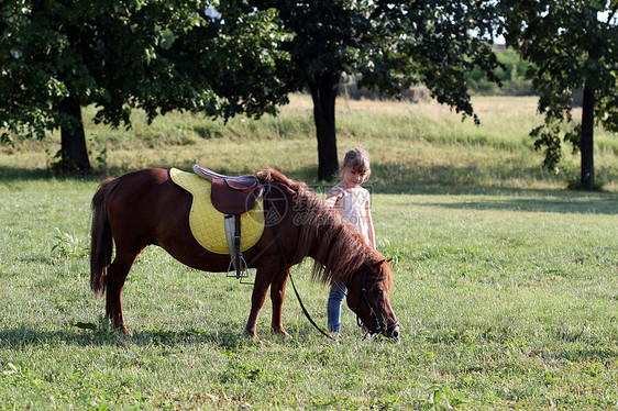 美丽的小女孩和田野上的马匹图片