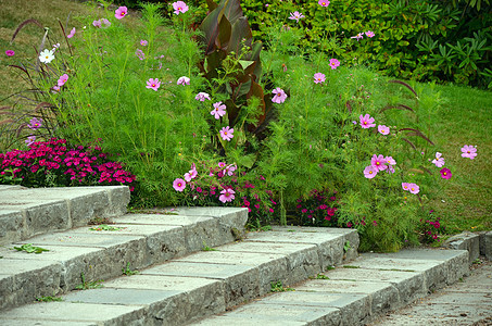 美丽的夏日花园楼梯背景图片