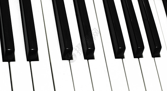 钢琴键爵士乐象牙音乐学习旋律独奏键盘乐队器官乐器图片