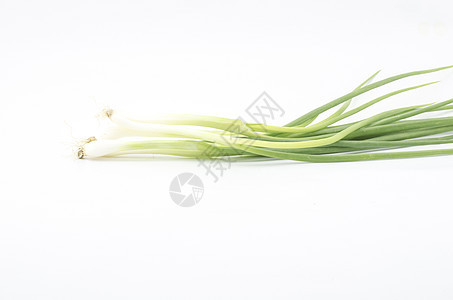 白线上隔离的春季洋葱杂草营养韭葱药物韭菜团体叶子杂货沙拉草本植物图片