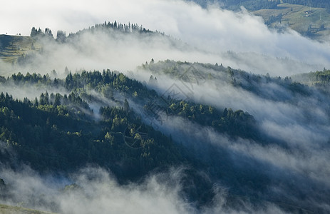 有林雾城市生活木材旅行魔法薄雾故事天气木头场景图片