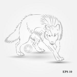 矢量中的狼的休丽叶标识荒野公司黑色艺术手绘创造力白色动物捕食者背景图片