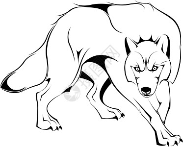 矢量中的狼的休丽叶荒野公司白色黑色标识创造力捕食者手绘动物艺术图片