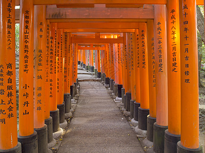 京都神社的托里门路面吸引力历史信仰建筑学小路历史性信使人行道宗教图片