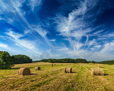 球场的Hay篮子植物草地干草季节稻草场地风景天空图片