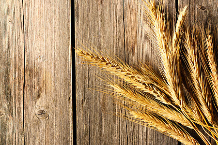 木本底的Rye 小麦食物乡村木头黄色耳朵种子棕色静物谷物小穗图片